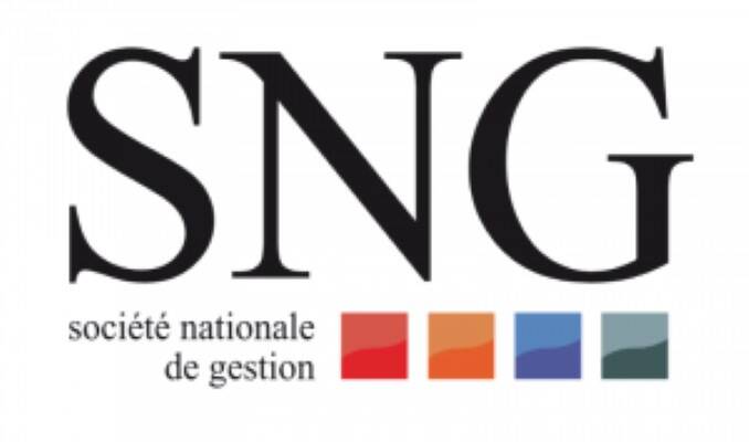 S.N.G IMMOBILIER