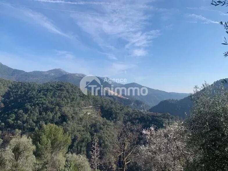Maison en viager occupé Bouquet 43 333 € 3 pièces 2 chambres 60 m² 3 000 m² de terrain L'Escarène 06440
